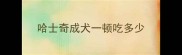哈士奇成犬一顿吃多少