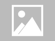 拉布拉多配种不配合怎么办新手必看专业指南实操方法