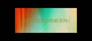 没打完疫苗的狗能洗吗