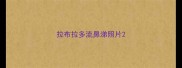 拉布拉多流鼻涕照片