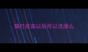 猫打疫苗以后可以洗澡么