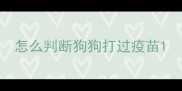 怎么判断狗狗打过疫苗