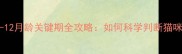 幼猫成年时间表3-12月龄关键期全攻略如何科学判断猫咪成年附饲养指南