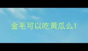 金毛可以吃黄瓜么