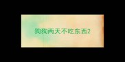 狗狗两天不吃东西