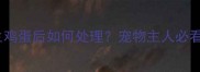 哈士奇误食生鸡蛋后如何处理宠物主人必看的安全指南