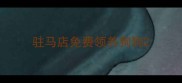 驻马店免费领养狗狗
