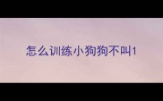 怎么训练小狗狗不叫