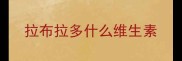 拉布拉多什么维生素