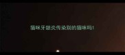 猫咪牙龈炎传染别的猫咪吗