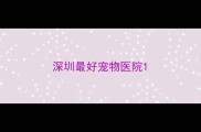 深圳最好宠物医院
