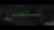 如何给猫咪清理眼部