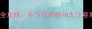 农村养拉布拉多全攻略乡下饲养的10大注意事项与养护指南