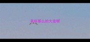 茶杯那么的大宠物