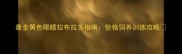 最全黄色眼睛拉布拉多指南价格饲养训练攻略