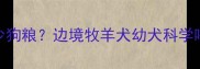 7个月边牧每天吃多少狗粮边境牧羊犬幼犬科学喂养全攻略附食谱