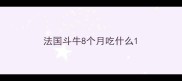 法国斗牛8个月吃什么