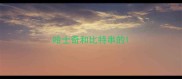 哈士奇和比特串的