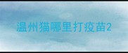 温州猫哪里打疫苗