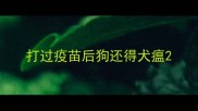 打过疫苗后狗还得犬瘟