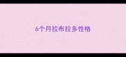 6个月拉布拉多性格