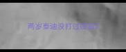 两岁泰迪没打过疫苗