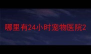 哪里有24小时宠物医院