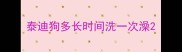 泰迪狗多长时间洗一次澡