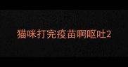 猫咪打完疫苗啊呕吐