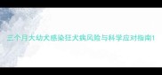 三个月大幼犬感染狂犬病风险与科学应对指南