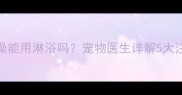 猫咪洗澡能用淋浴吗宠物医生详解5大注意事项