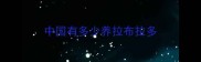 中国有多少养拉布拉多