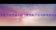泰迪犬虱子会传染人吗宠物虱子全与科学防治指南