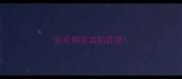 金毛狗贫血的症状