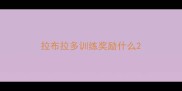 拉布拉多训练奖励什么