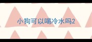 小狗可以喝冷水吗