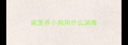 家里养小狗用什么消毒