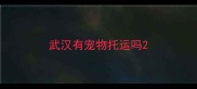 武汉有宠物托运吗