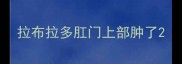 拉布拉多肛门上部肿了