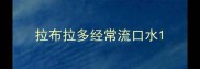 拉布拉多经常流口水