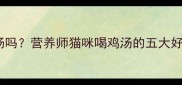 猫咪可以吃鸡汤吗营养师猫咪喝鸡汤的五大好处与潜在风险