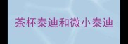 茶杯泰迪和微小泰迪