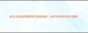 金毛犬疫苗品牌推荐及接种指南如何科学保护爱犬健康