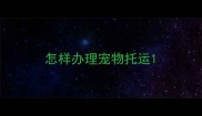 怎样办理宠物托运
