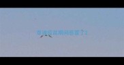泰迪疫苗期间感冒了