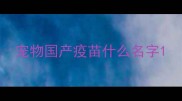 宠物国产疫苗什么名字