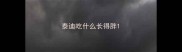 泰迪吃什么长得胖