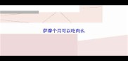 萨摩个月可以吃肉么