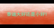 泰迪大好还是小好