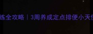 幼犬如厕训练全攻略3周养成定点排便小天使的小技巧
